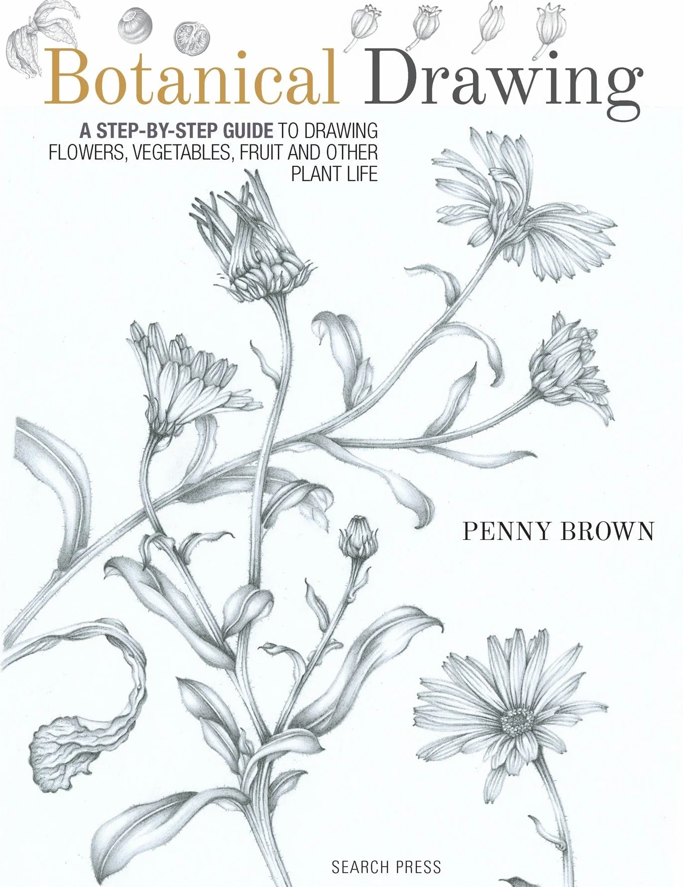 Botanical Drawing: A Step-By-Step Guide to Drawing Flowers, Vegetables, Fruit and Other Plant Life