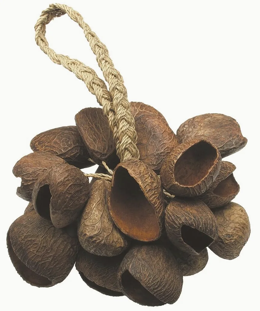 TOCA TO804444 Shaker Seed Shell Shaker