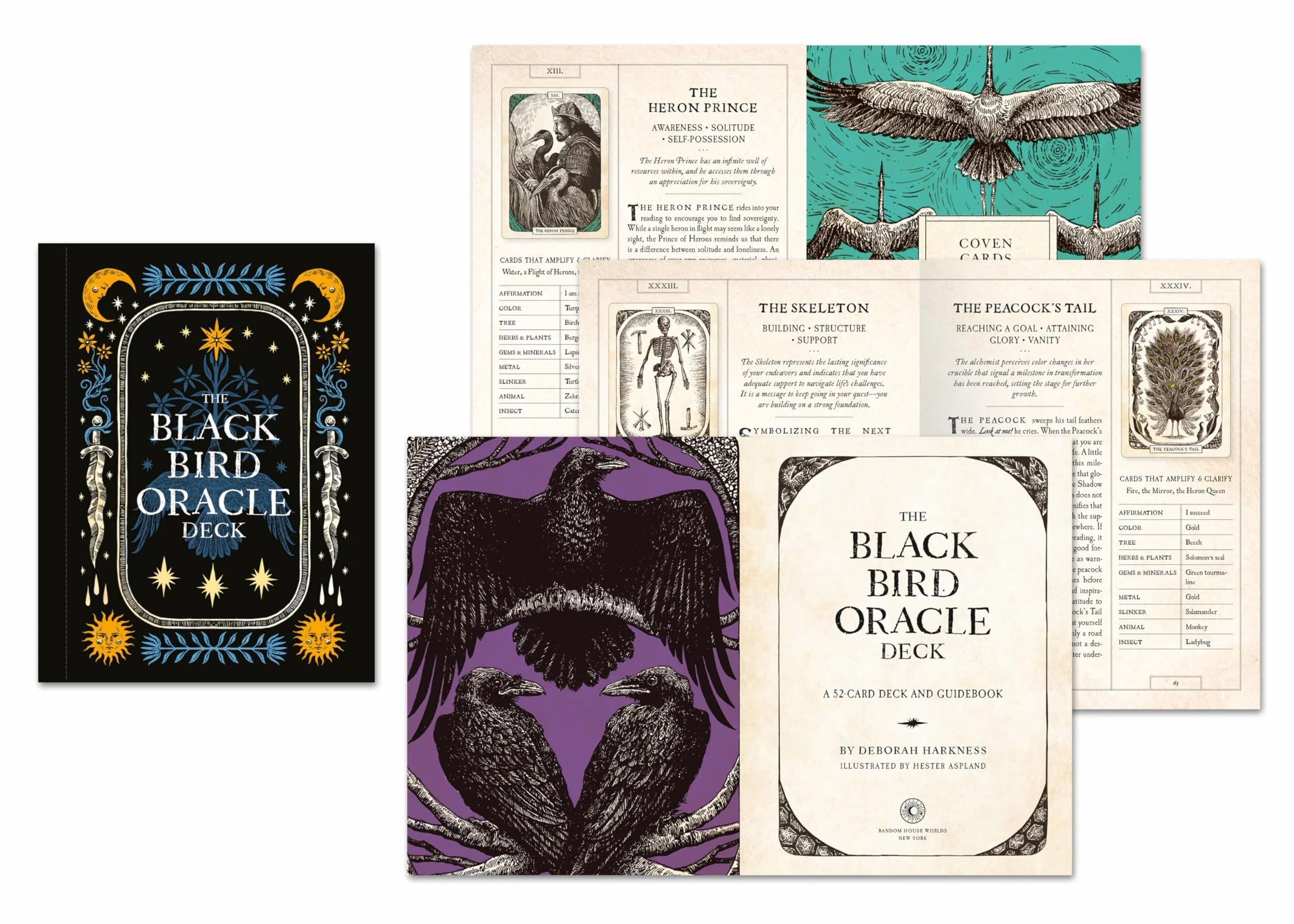 The Black Bird Oracle Deck: A 52-Card Deck and Guidebook