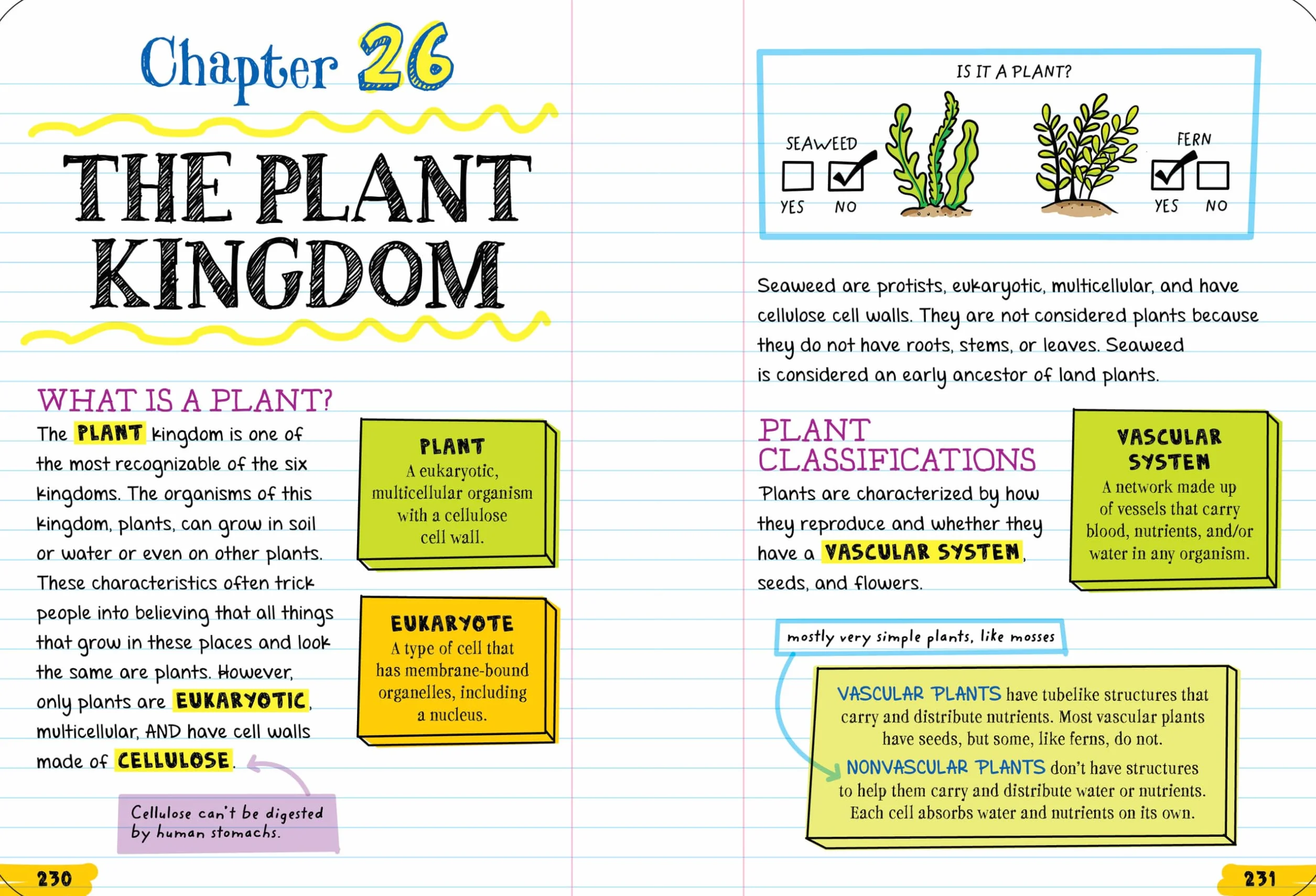 Everything You Need to Ace Biology in One Big Fat Notebook