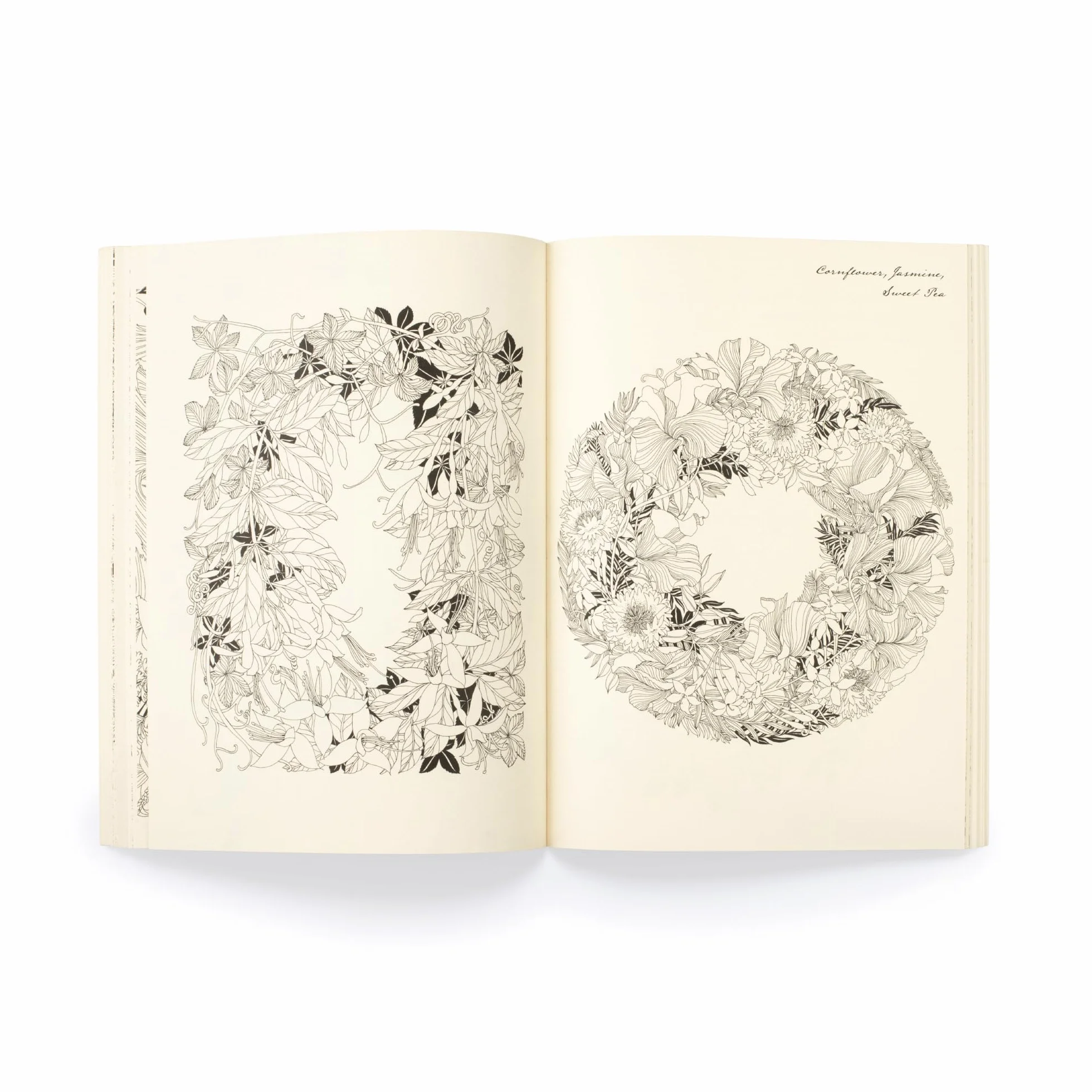 Floribunda Year /anglais: A Flower Colouring Companion