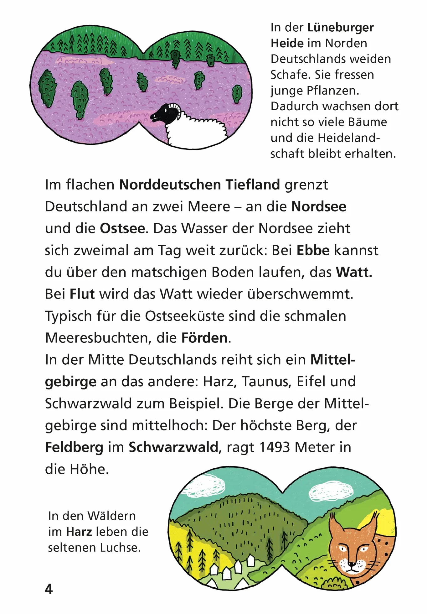 Pixi Wissen 109: Deutschland: Einfach gut erklärt!