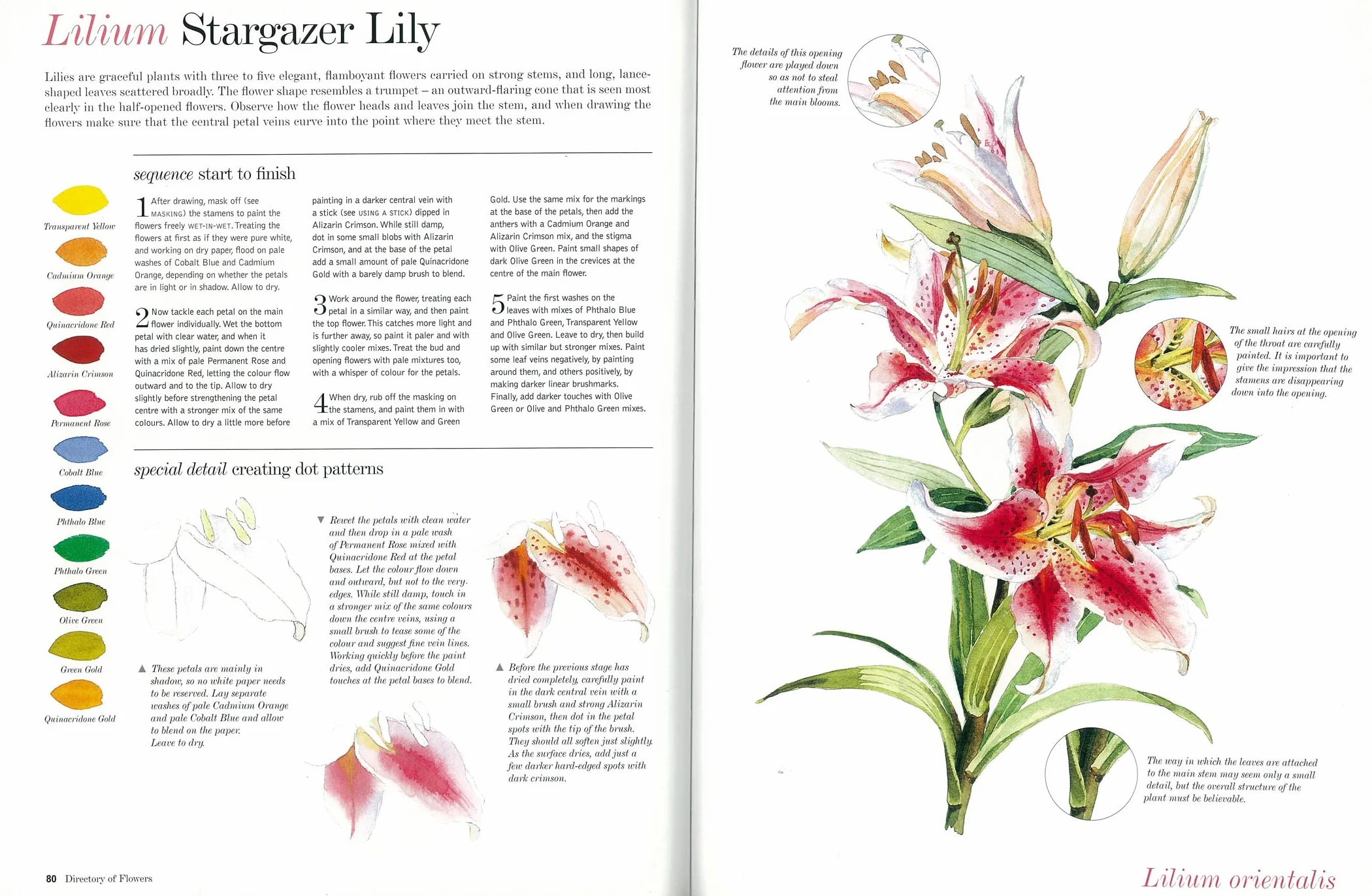 Kew: The Watercolour Flower Painter's A to Z: An Illustrated Directory of Techniques for Painting 50 Popular Flowers