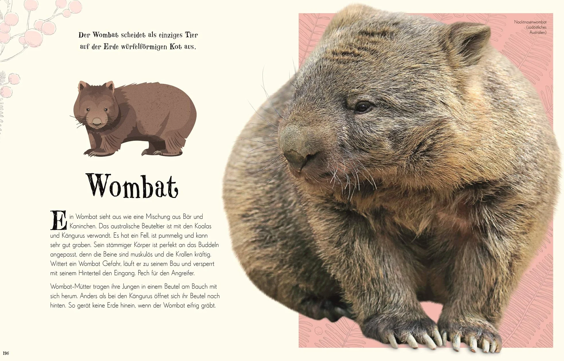 Wundervolle Welt der Natur: Ein Naturbilderbuch für die ganze Familie. Hochwertig ausgestattet mit Lesebändchen, Goldfolie und Goldschnitt