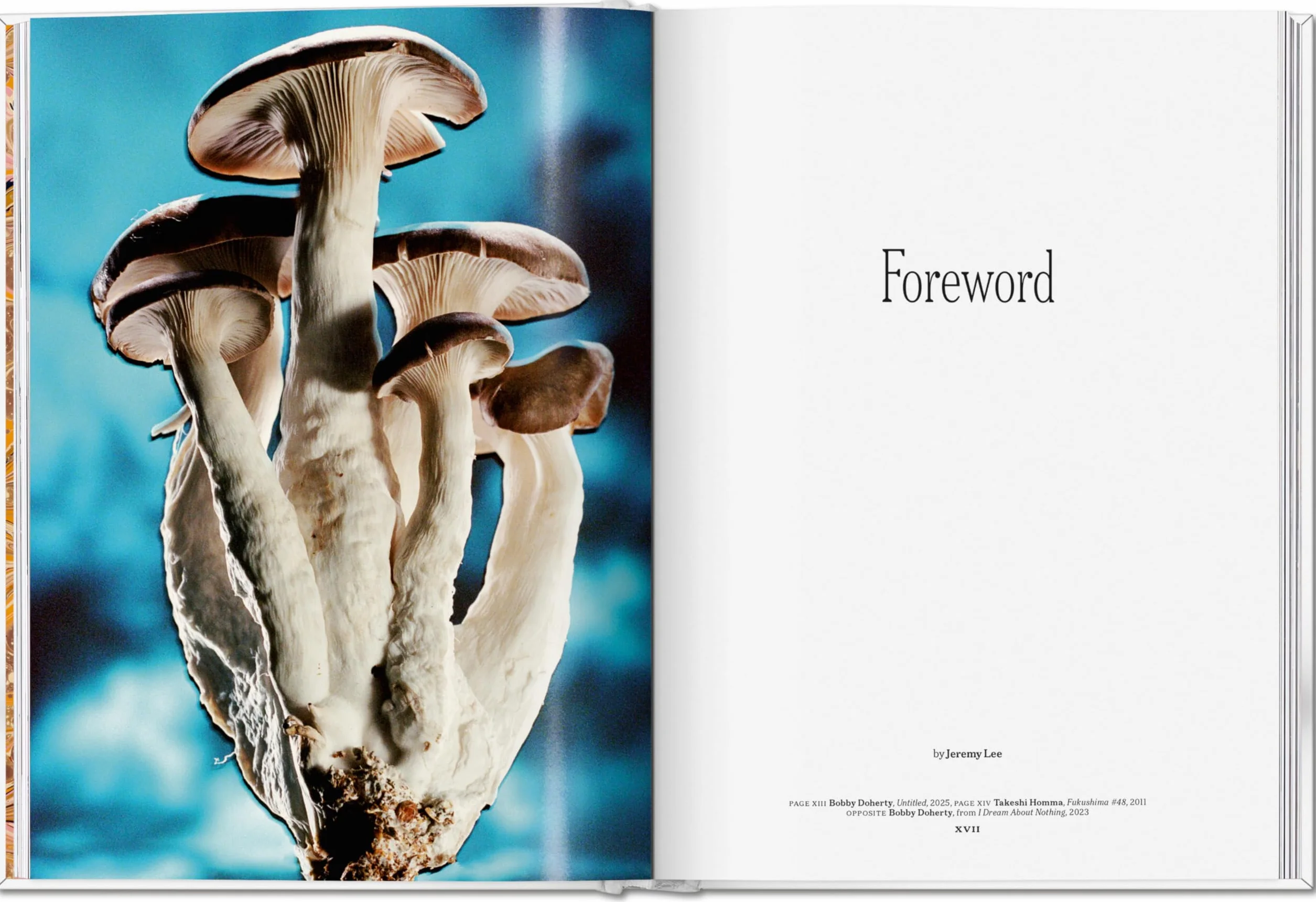 The Gourmand's Mushroom. a Collection of Stories & Recipes