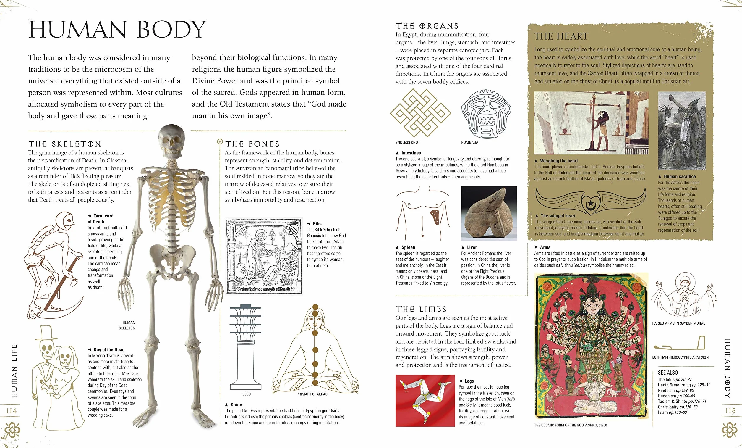 Signs & Symbols: An illustrated guide to their origins and meanings