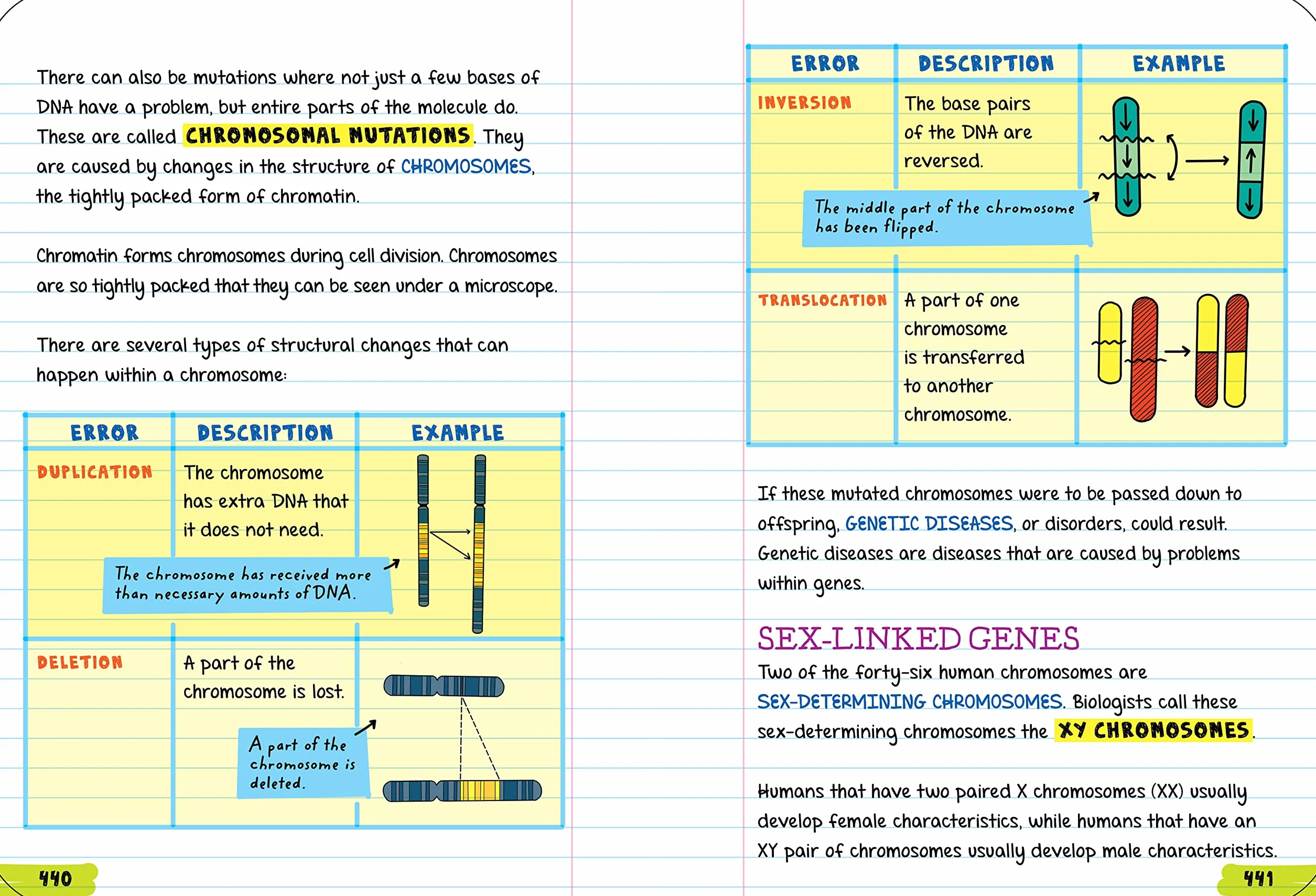 Everything You Need to Ace Biology in One Big Fat Notebook
