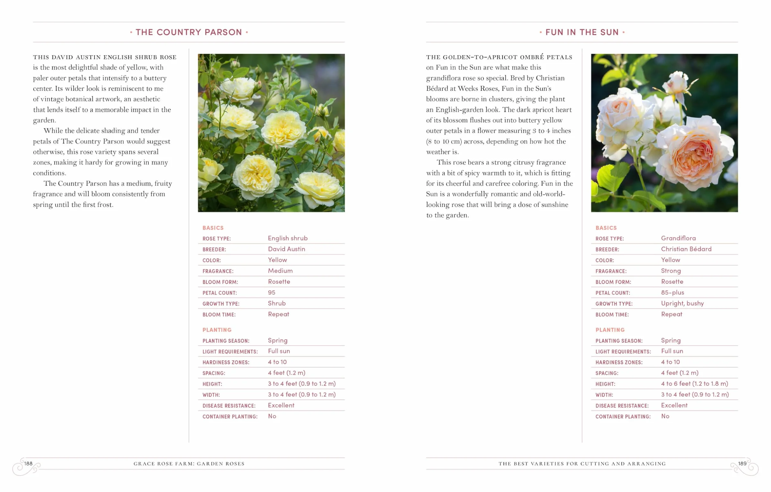 Grace Rose Farm: Garden Roses: The Complete Guide to Growing & Arranging Spectacular Blooms
