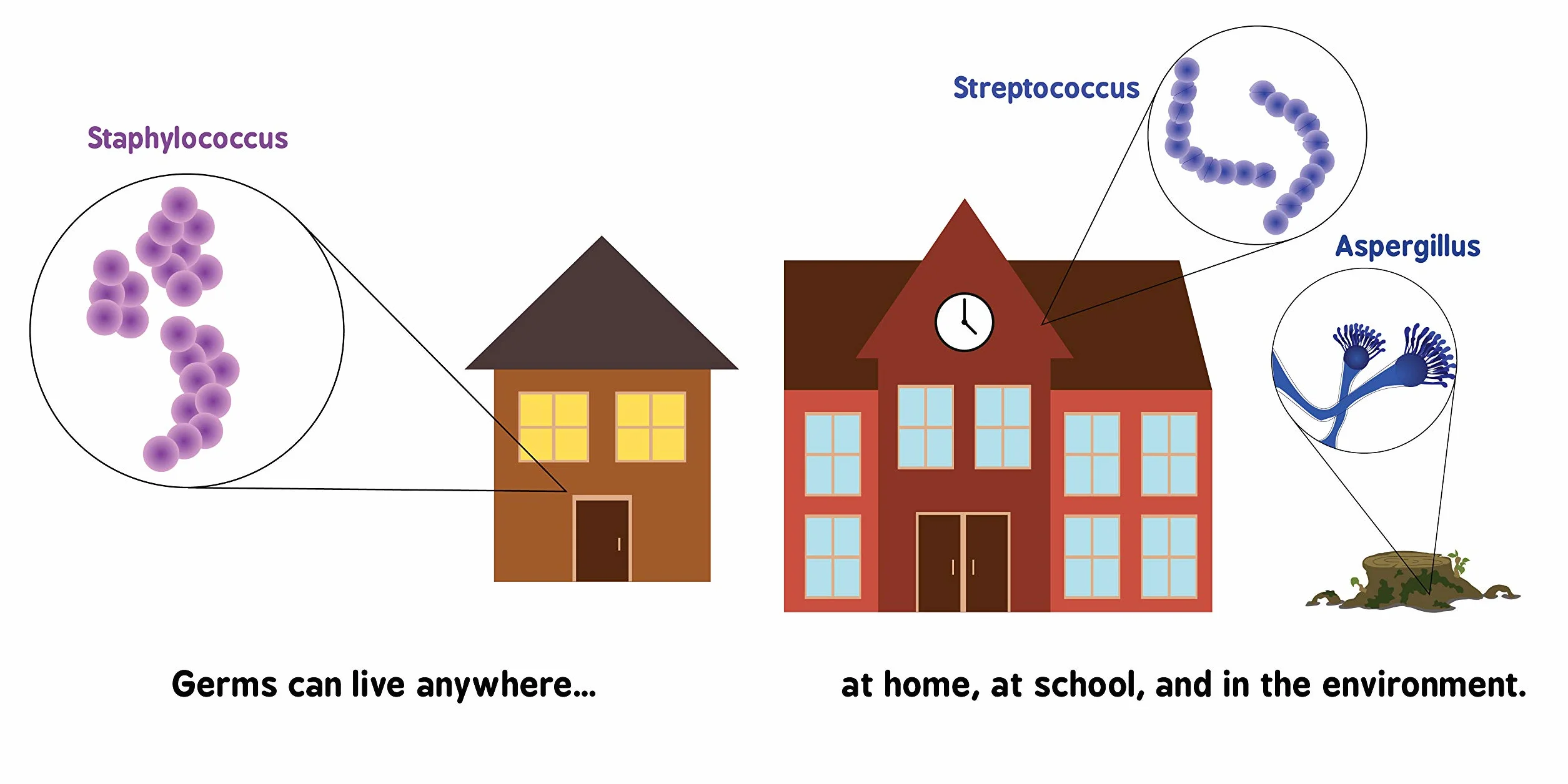 Germ Theory for Babies: 1 (Baby University)