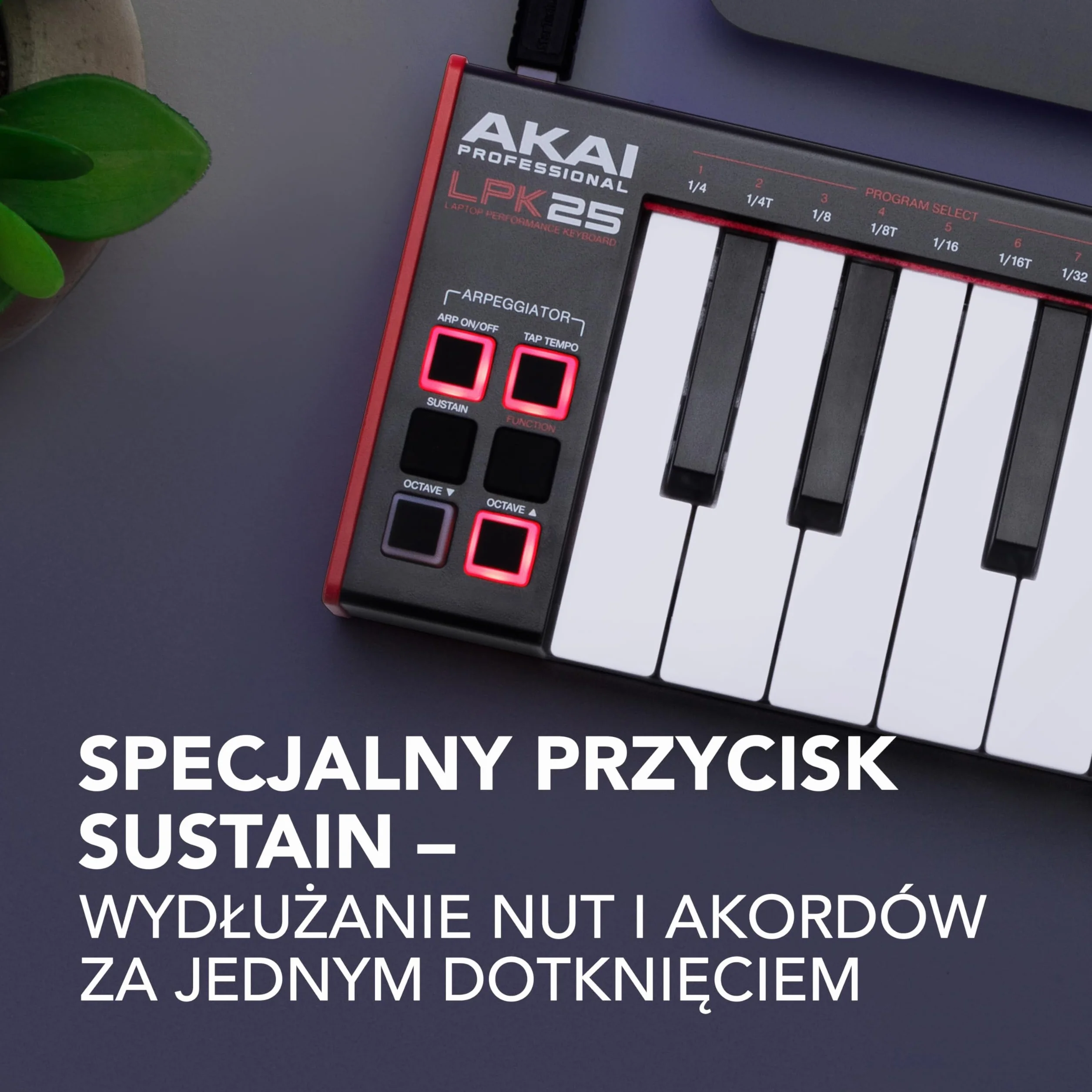 Akai Professional LPK25 - Klawiatura USB MIDI (Mac i PC) z 25 Responsywnymi Klawiszami Syntezatorowymi, Arpeggiatorem i Programami do Produkcji Muzyki