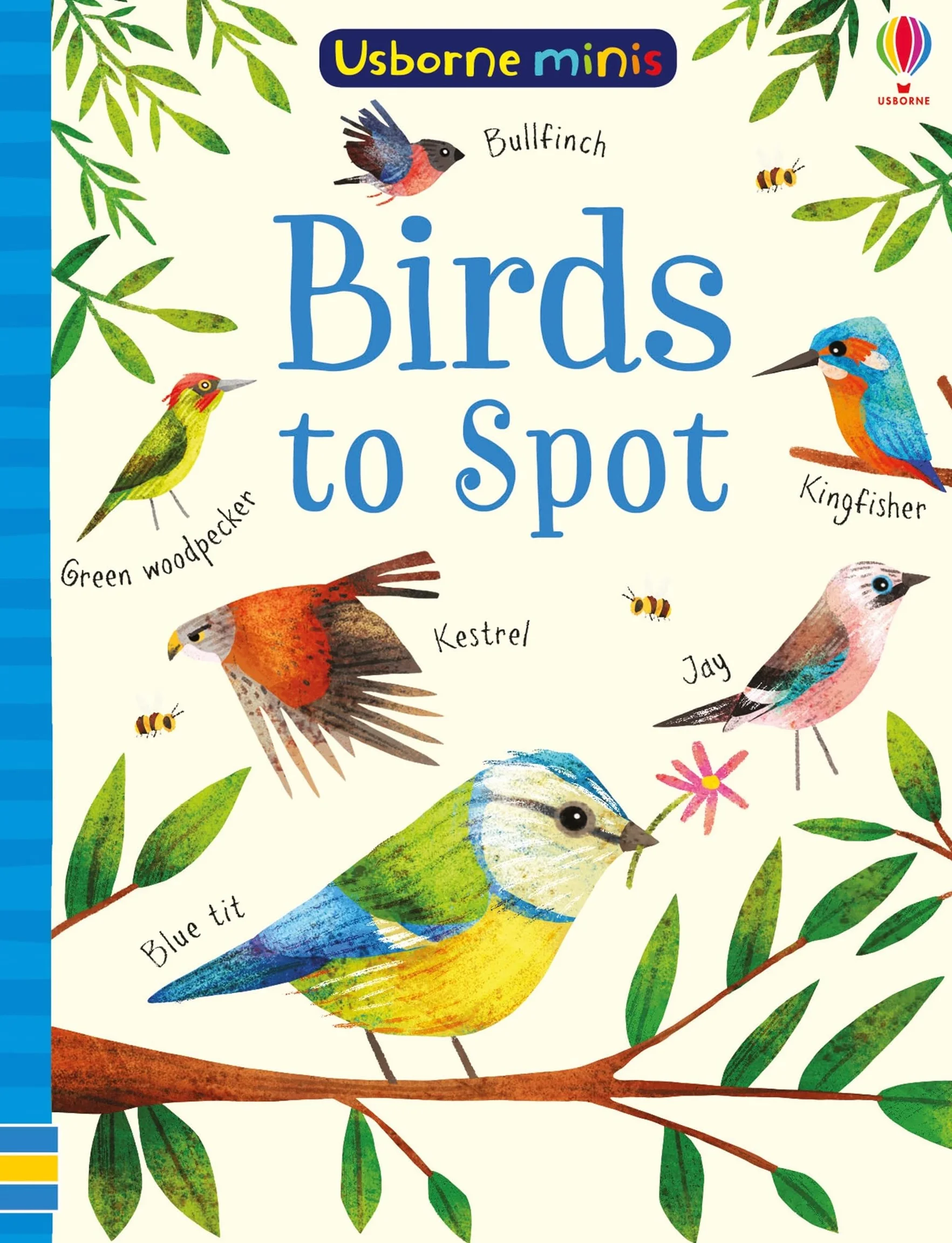 Birds to Spot (Usborne Minis)