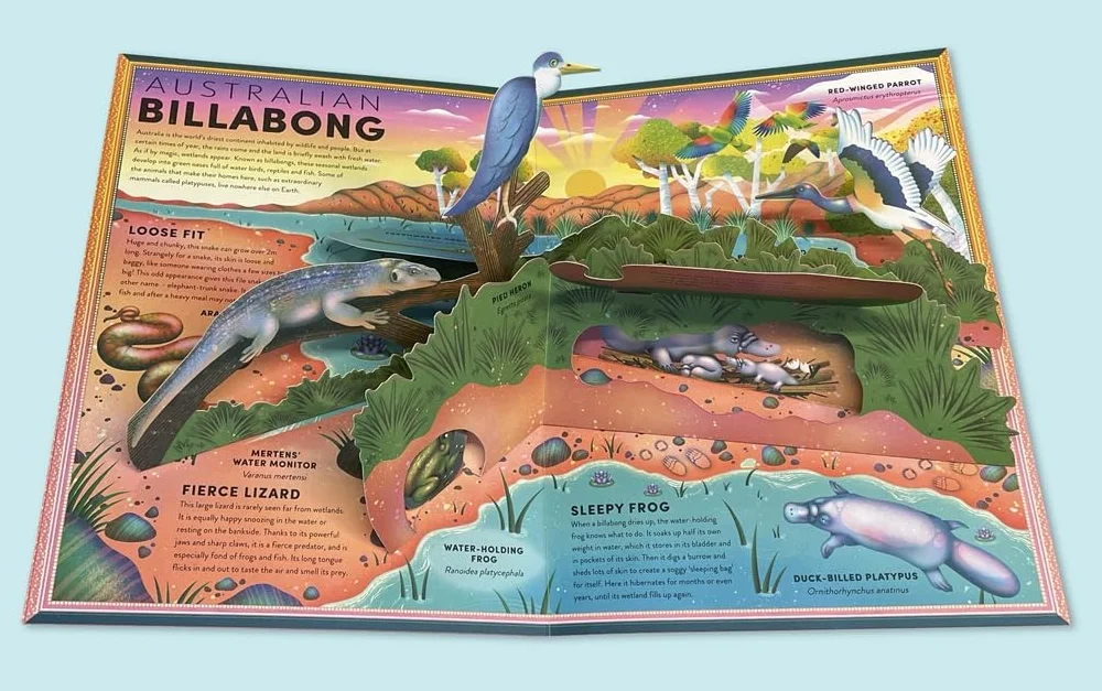 The Incredible Pop-up Frog: And other Wetland Creatures
