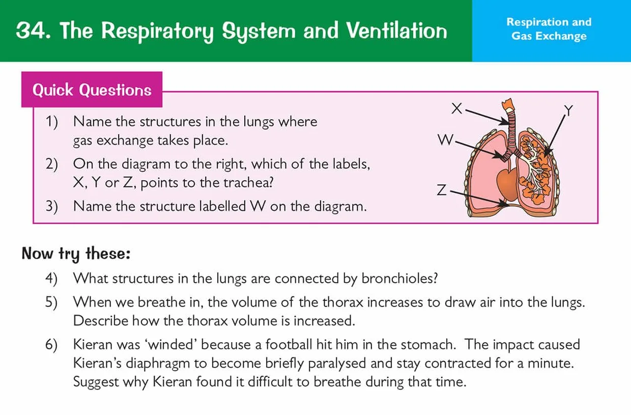 Edexcel International GCSE Biology: Revision Question Cards