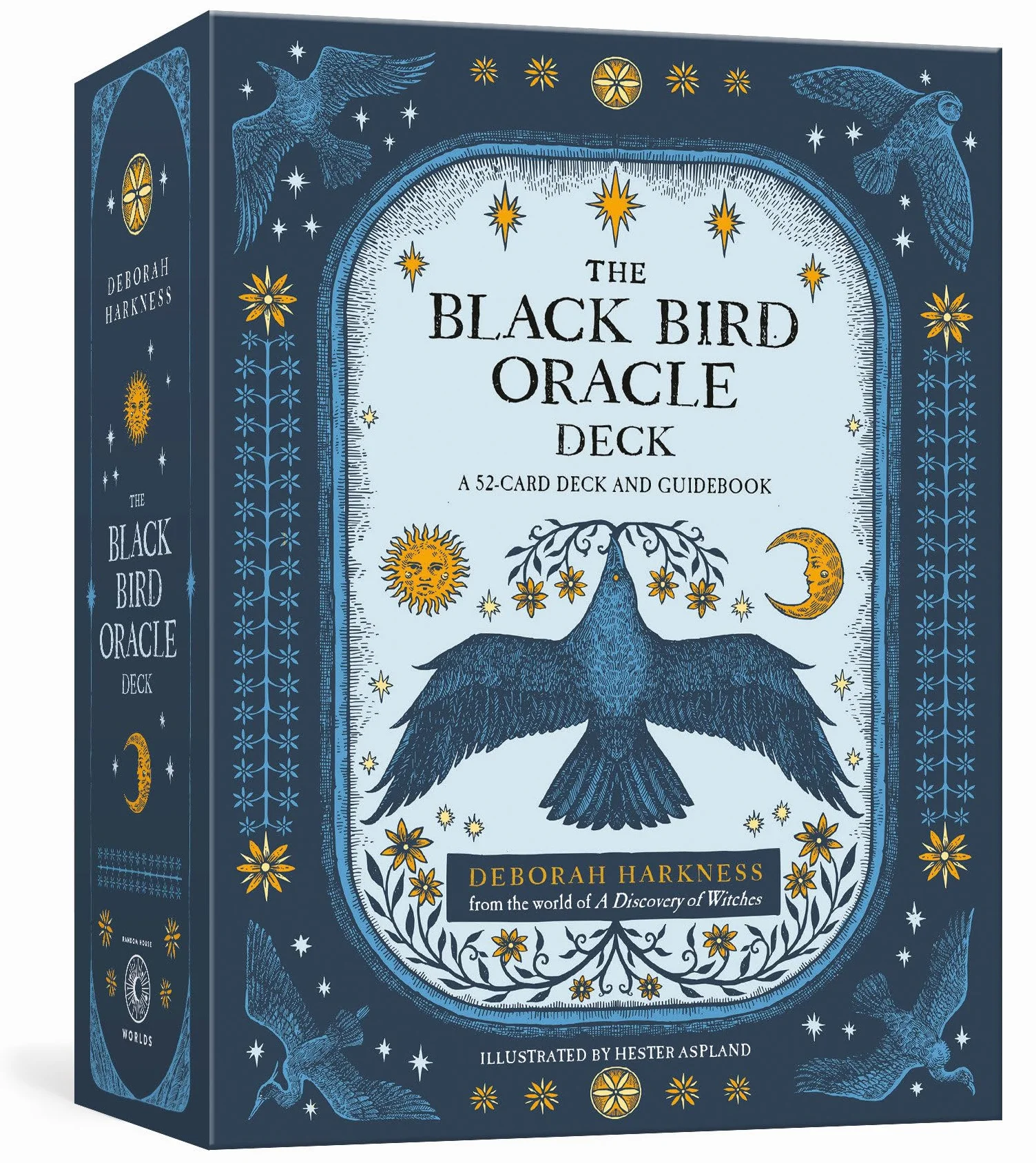 The Black Bird Oracle Deck: A 52-Card Deck and Guidebook