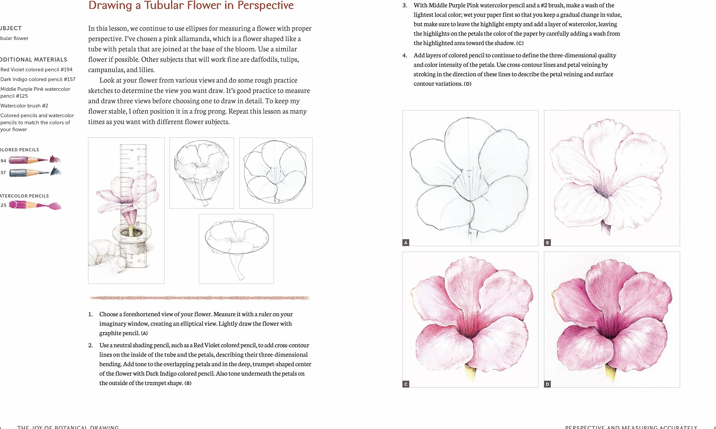 The Joy of Botanical Drawing: A Step-by-Step Guide to Drawing and Painting Flowers, Leaves, Fruit, and More