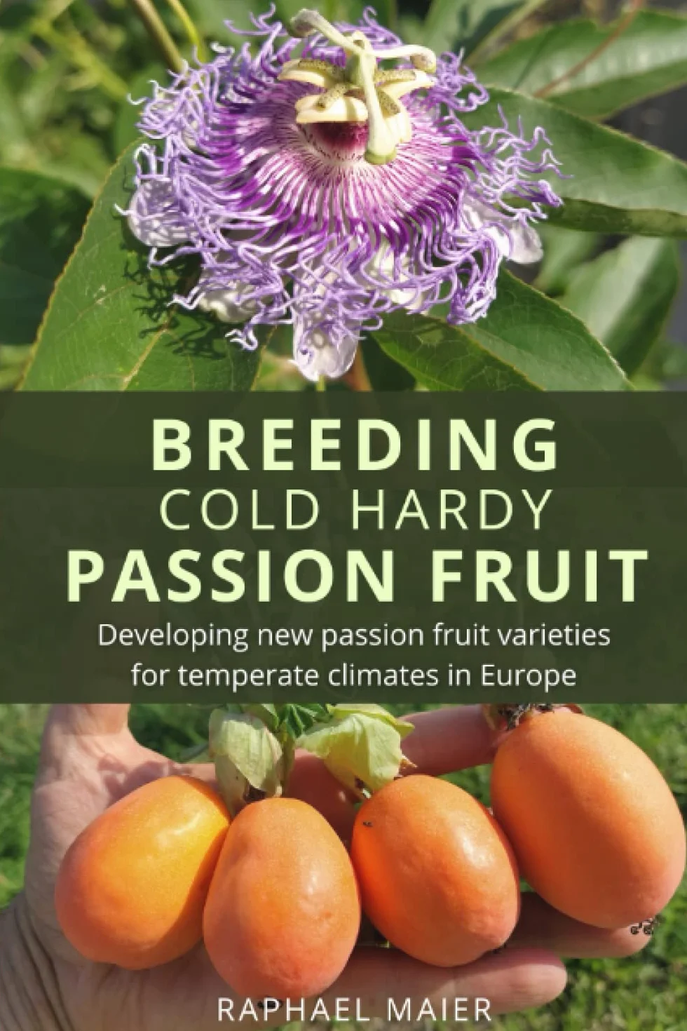 Breeding Hardy Passion Fruit: Developing new passion fruit varieties for temperate climates in Europe